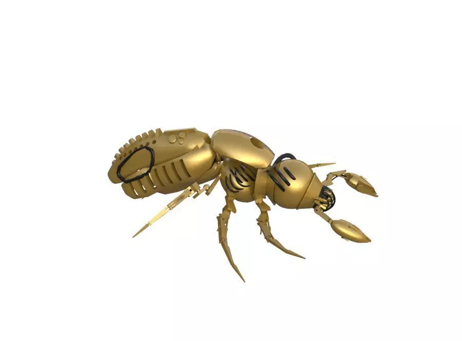 Insects Robot 3D model_0