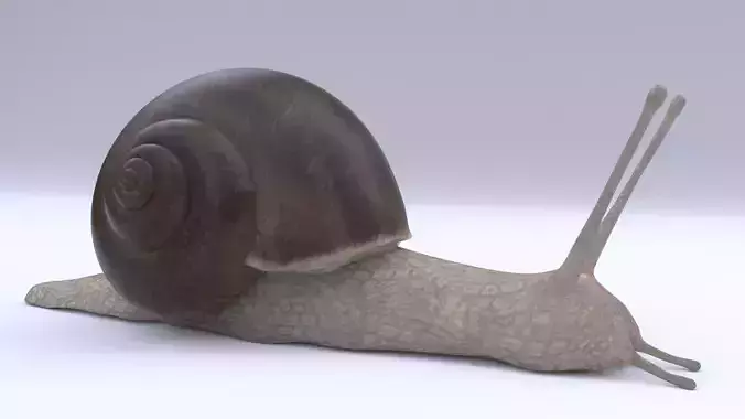 Snail Low-poly 3D model