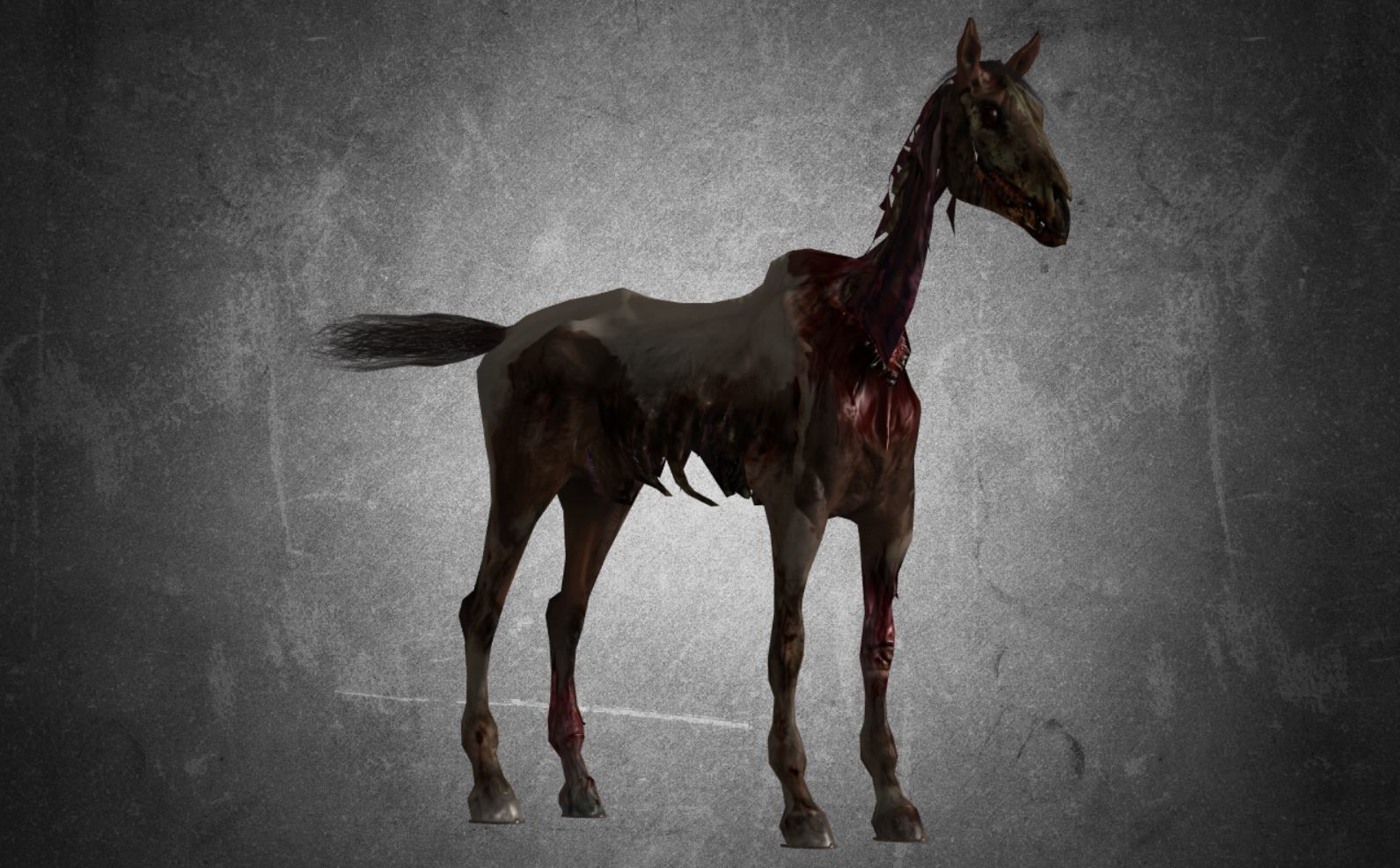 Horse - C2 3D model_12