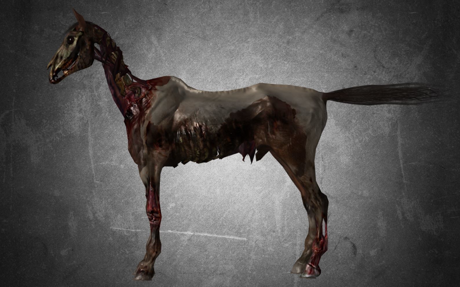 Horse - C2 3D model_10