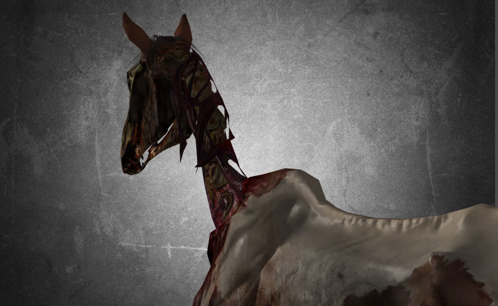 Horse - C2 3D model_14