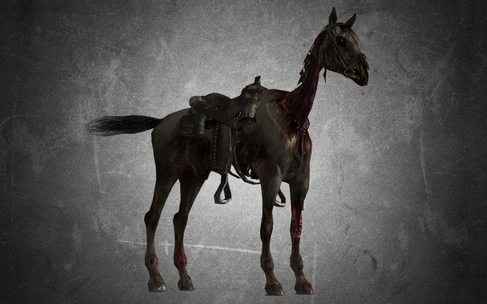 Horse - C3 3D model_12
