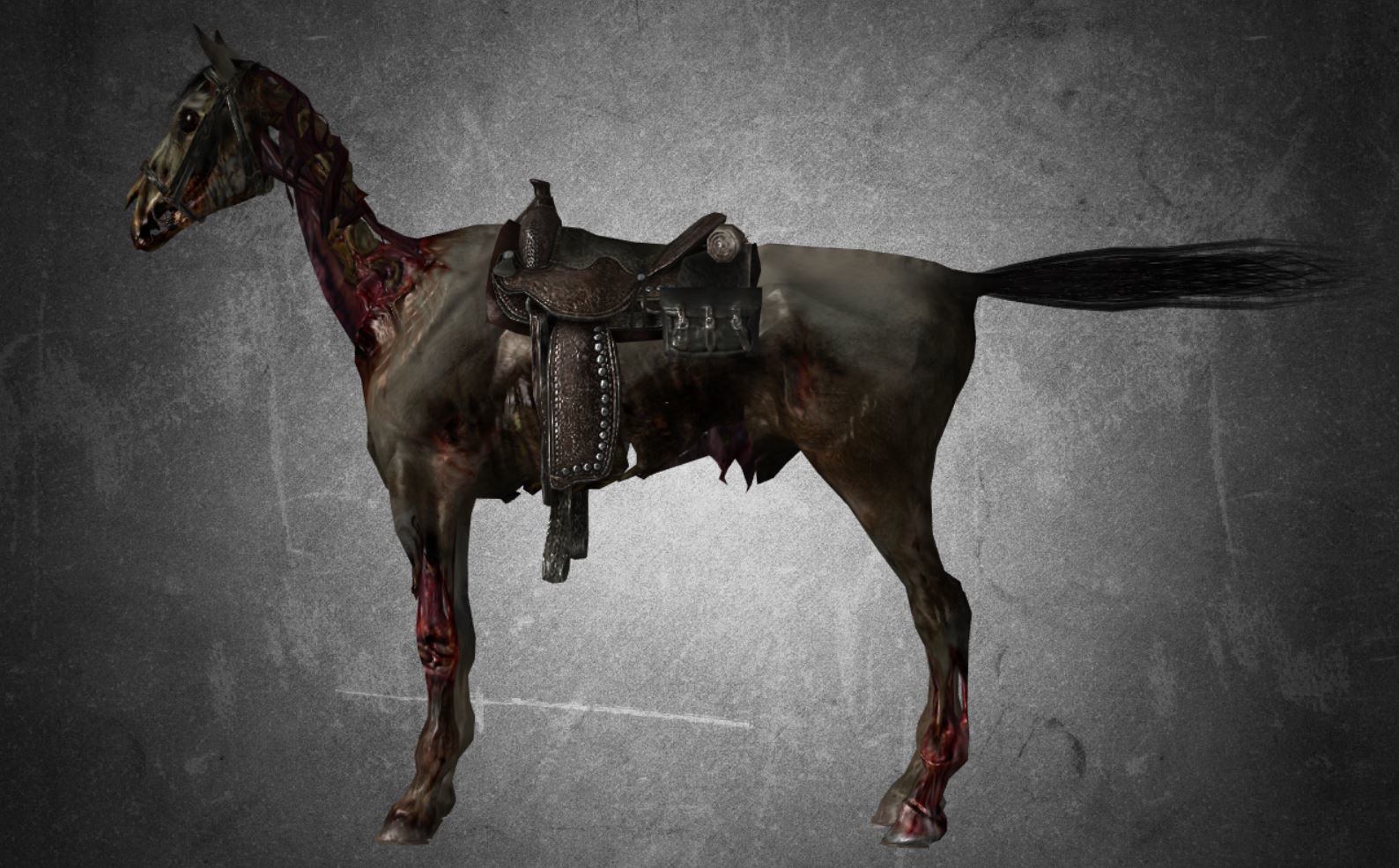 Horse - C3 3D model_10