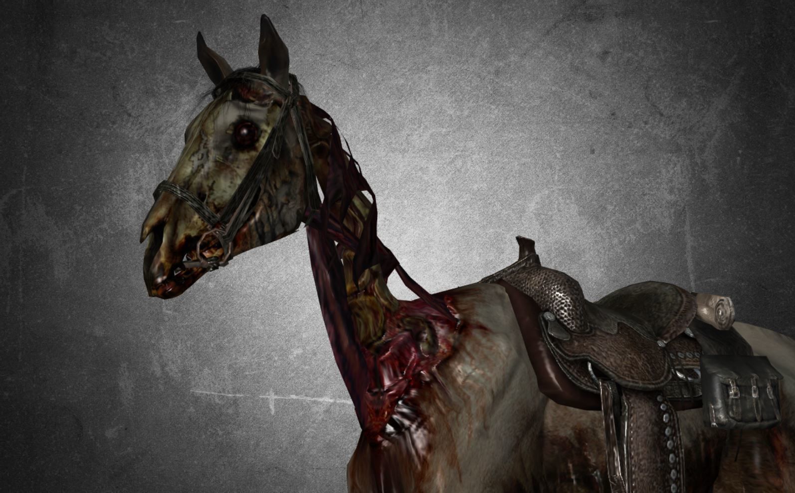 Horse - C3 3D model_13