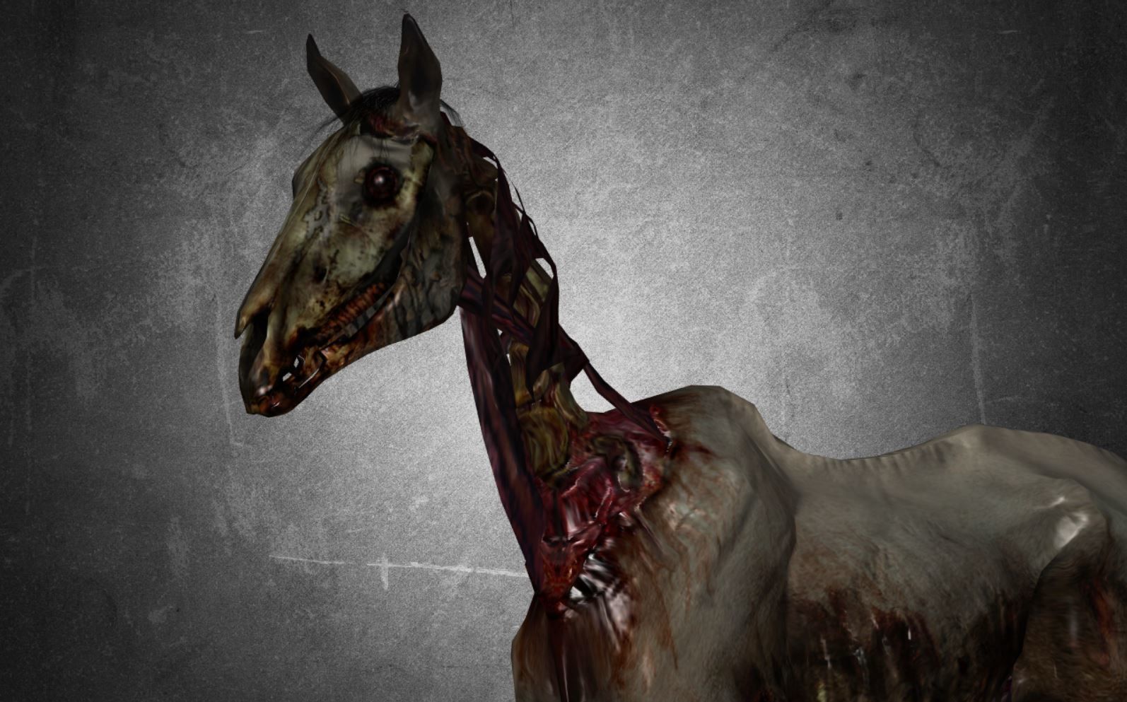 Horse - C4 3D model_13