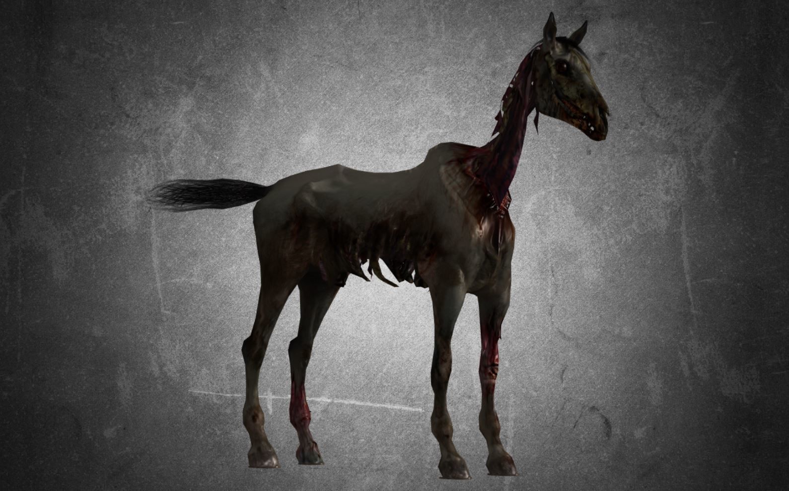 Horse - C4 3D model_12