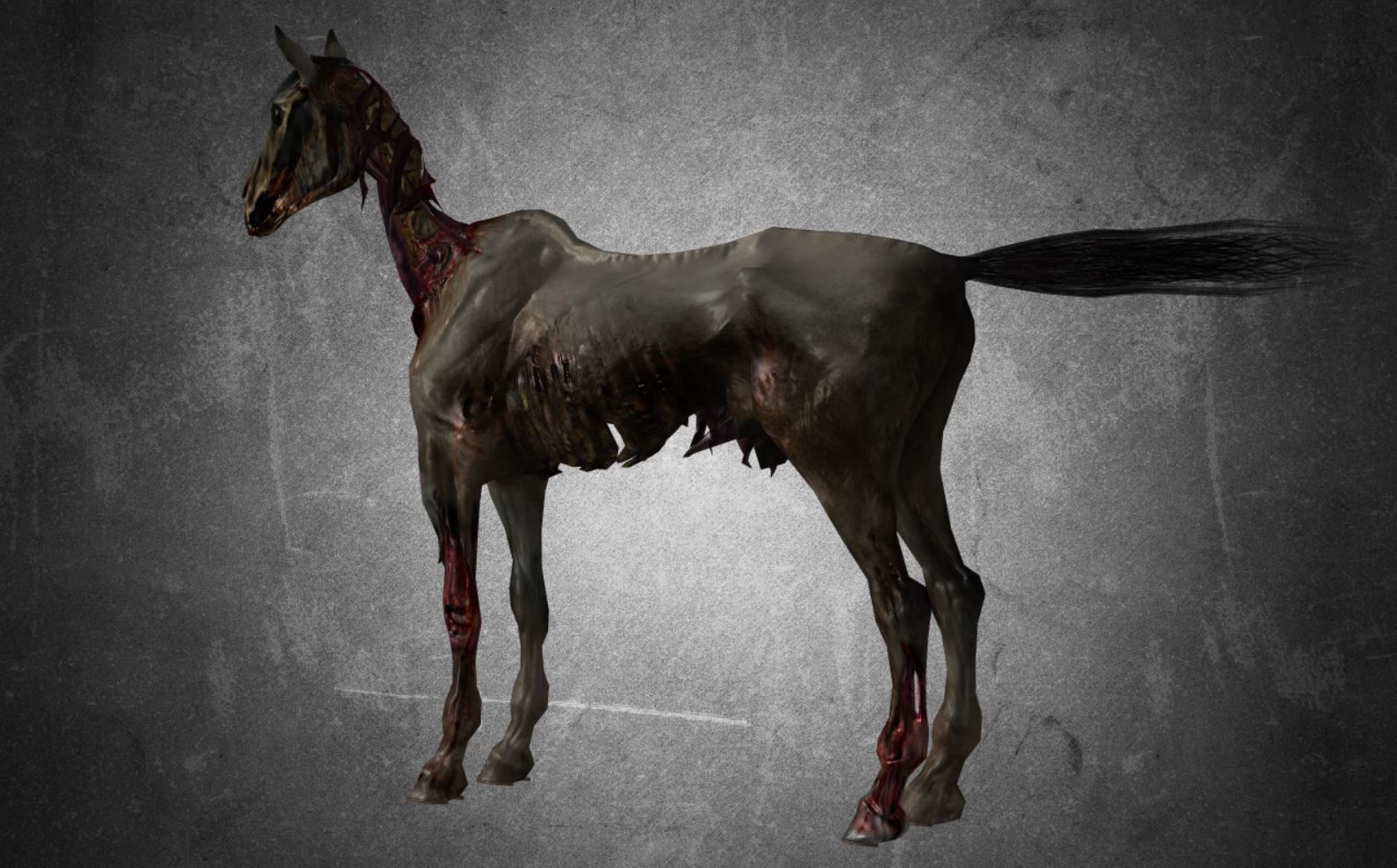 Horse - C4 3D model_11