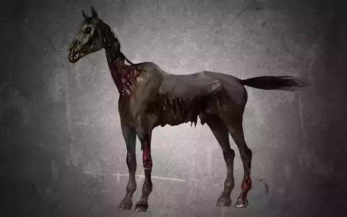 Horse - C4