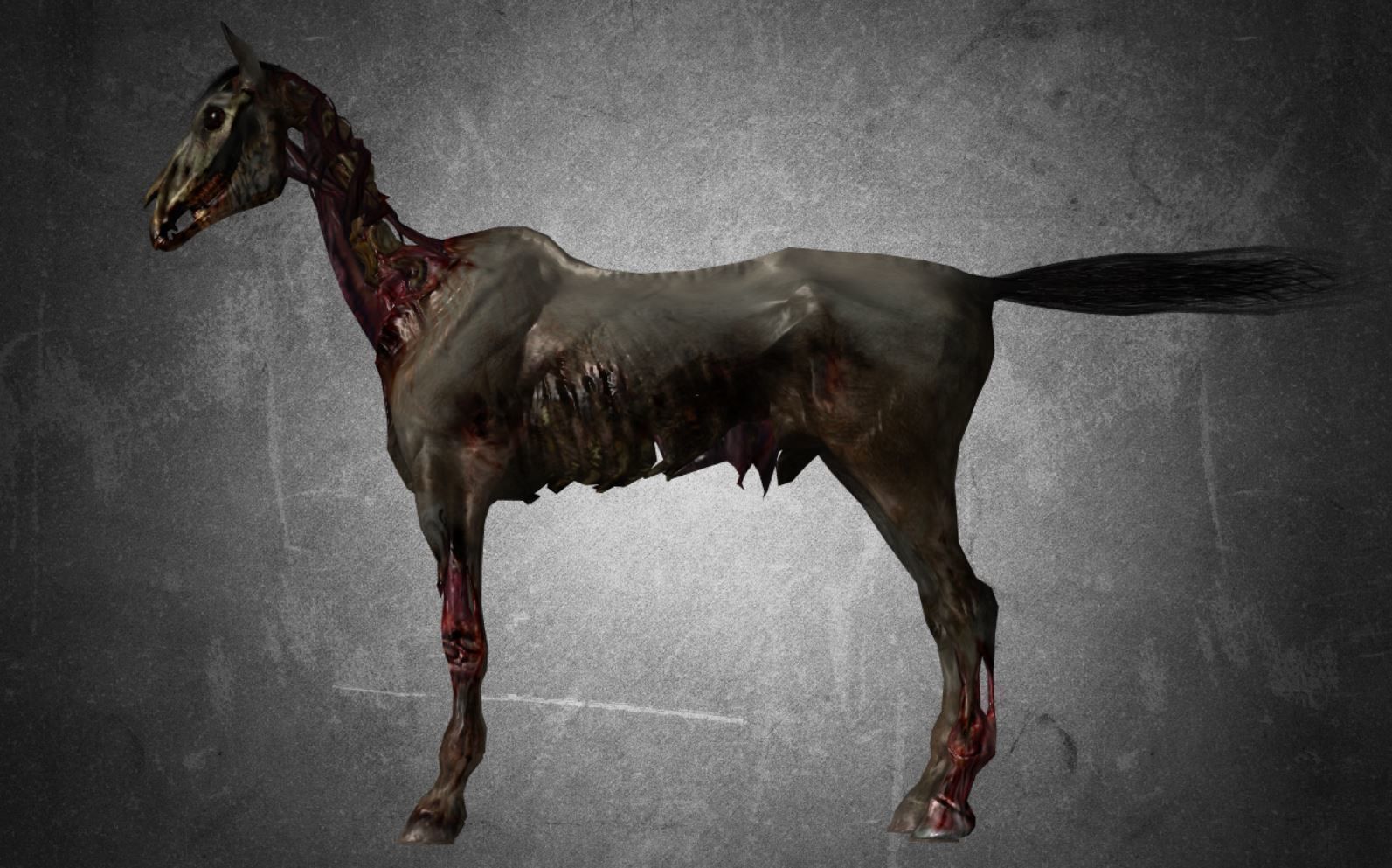 Horse - C4 3D model_10