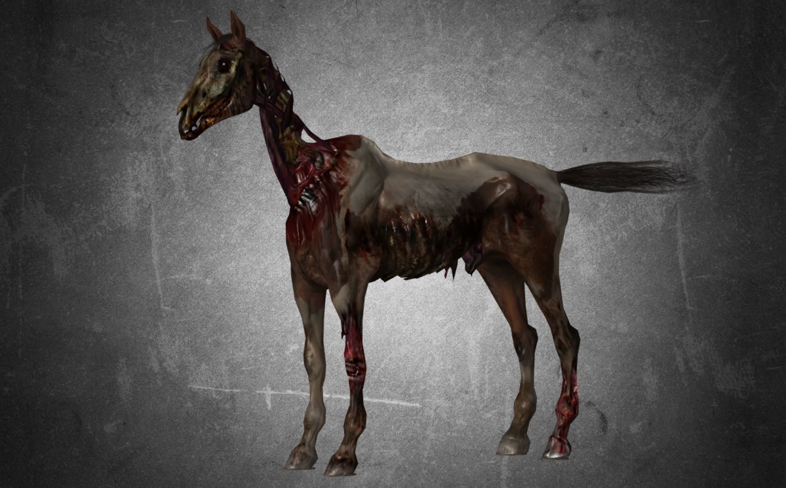 Horse Pack 03 - 6 MODEL 3D model_6