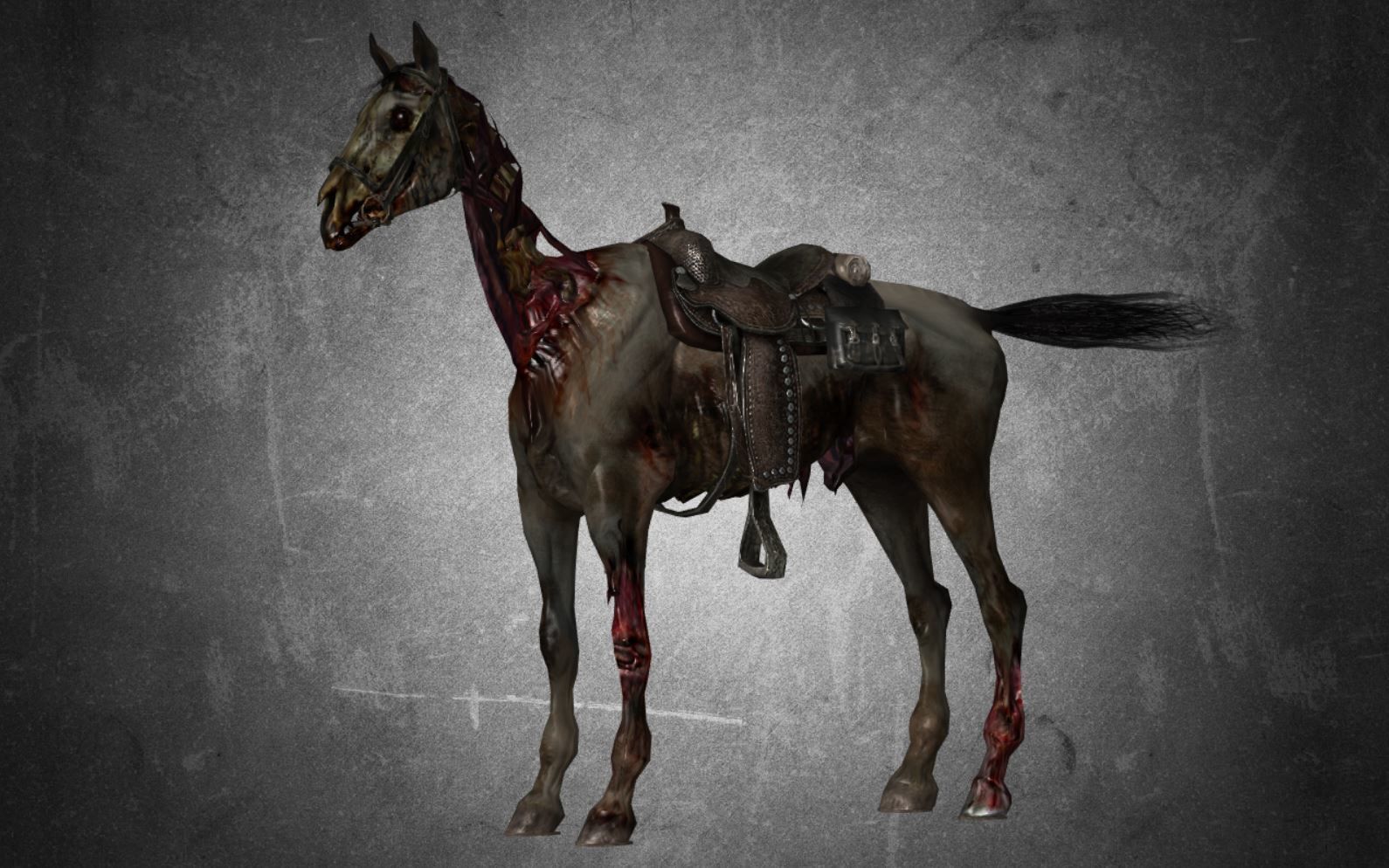 Horse Pack 03 - 6 MODEL 3D model_11