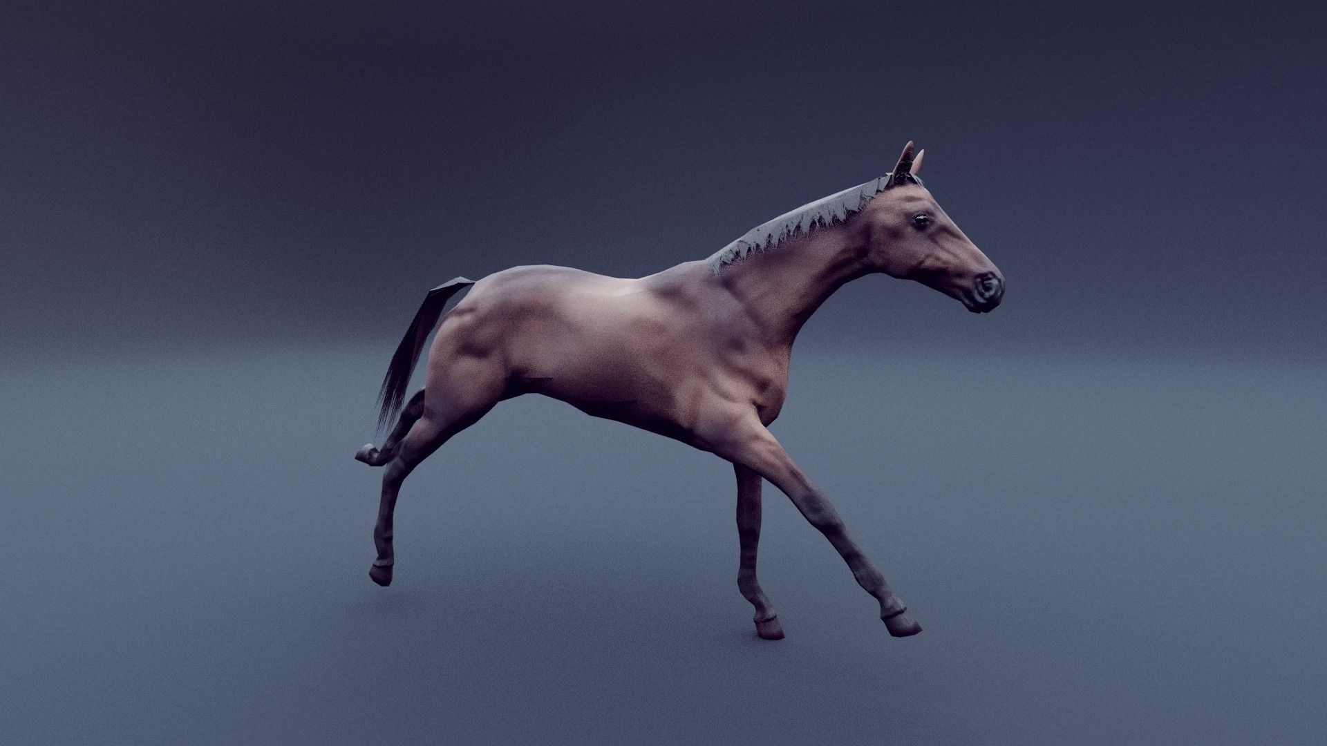 horse animated Low-poly 3D model_9