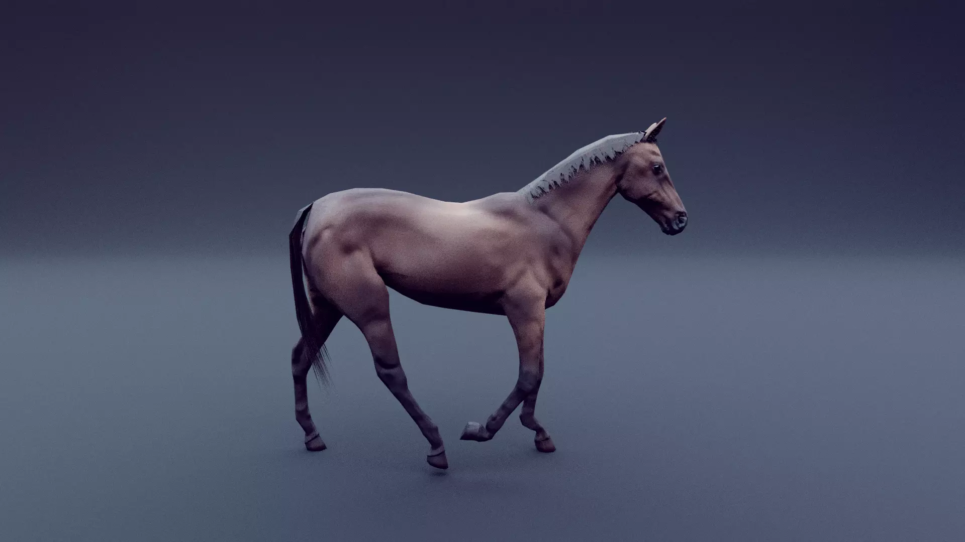 horse animated Low-poly 3D model_0