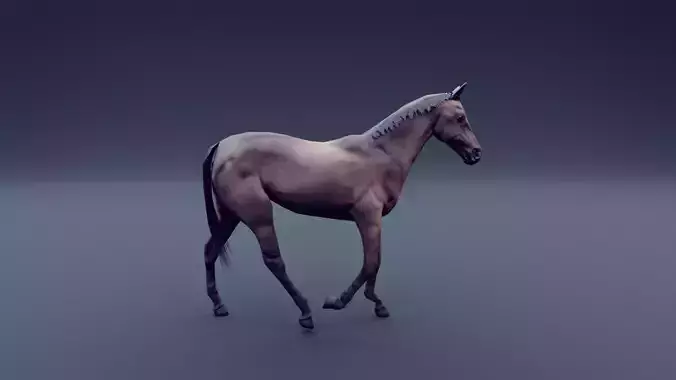 horse animated Low-poly 3D model