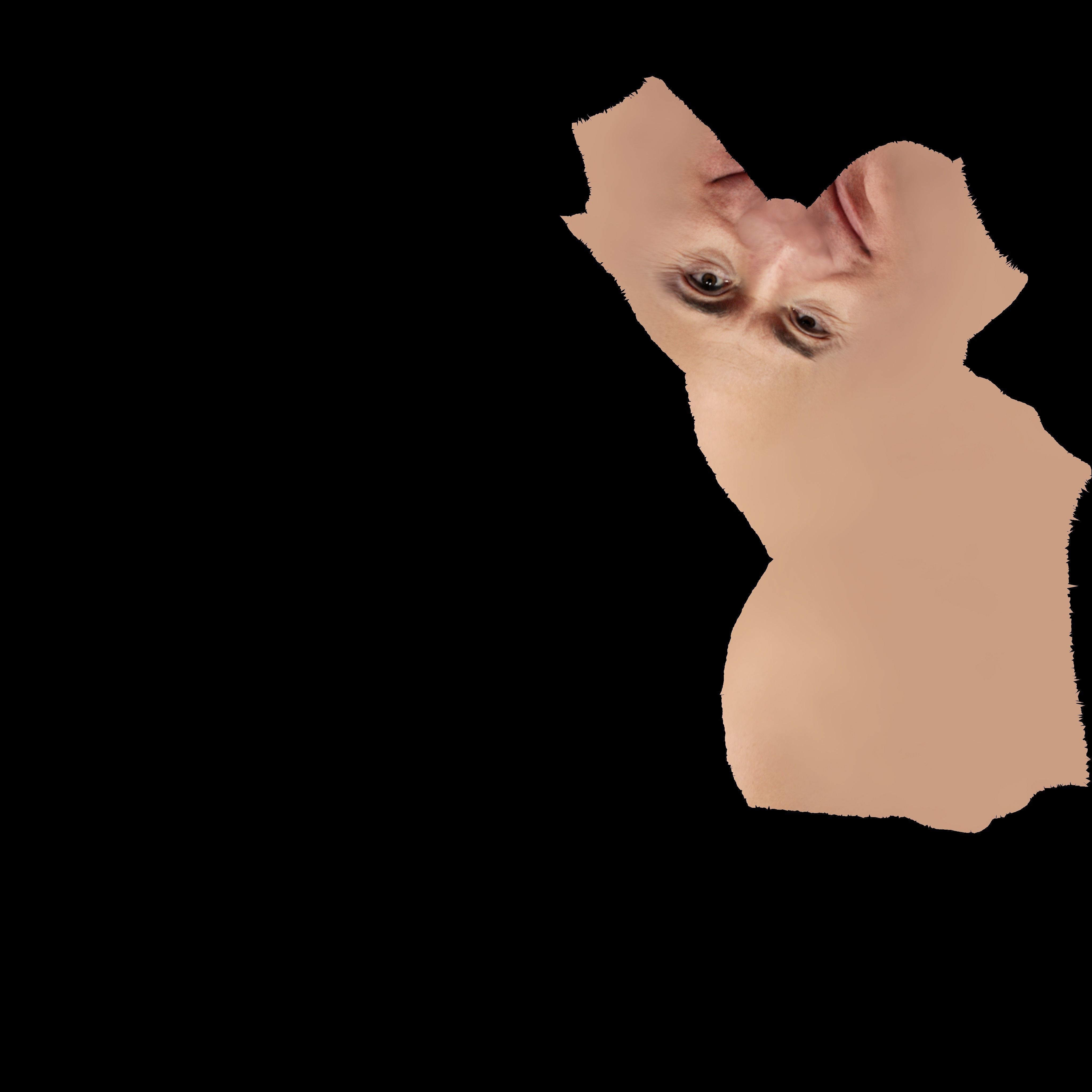 Jeff Bezos 3D model_21