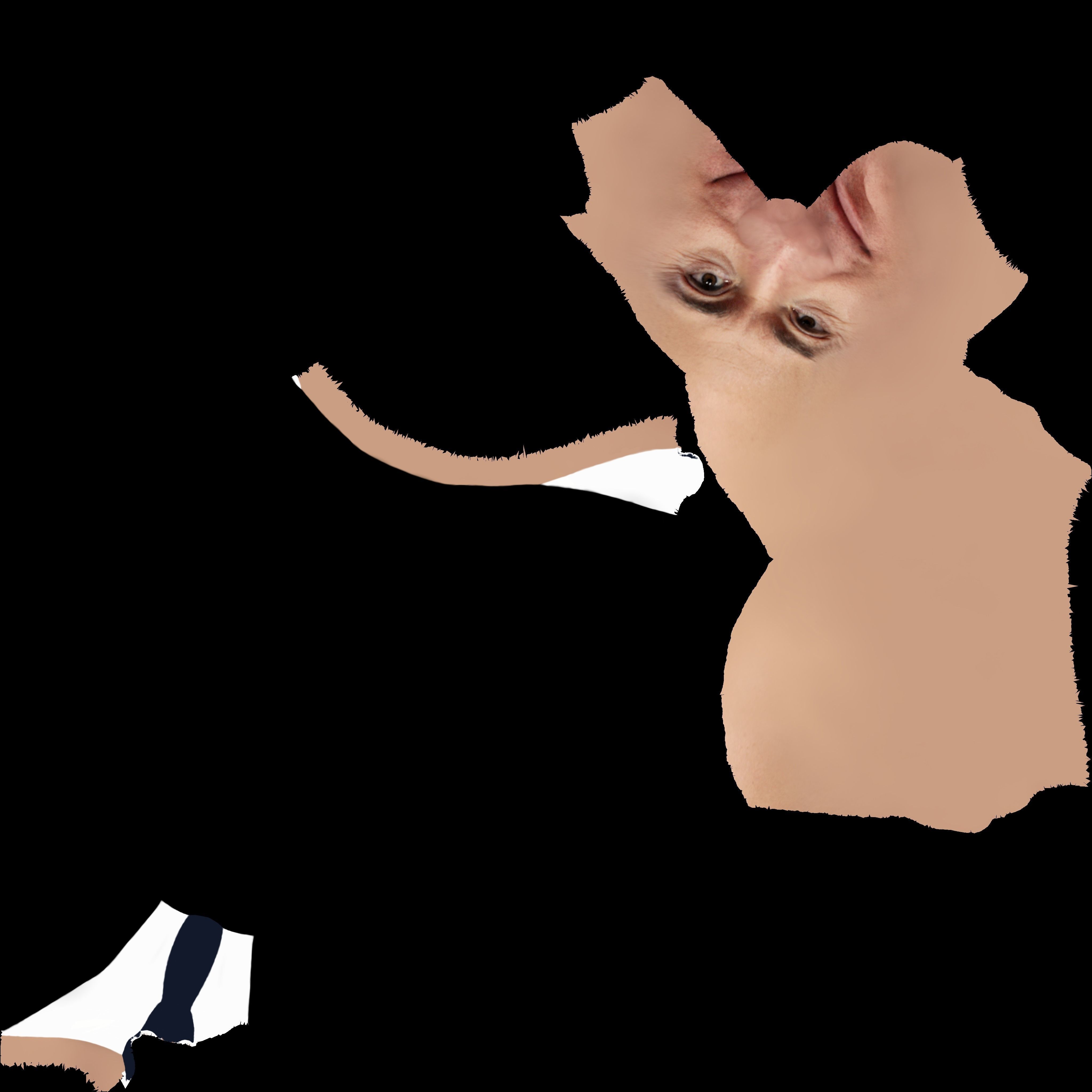 Jeff Bezos bust ready for full color 3D printing 3D print model_23