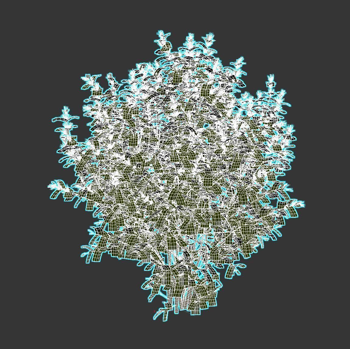 Caryopteris plant 3D model_6