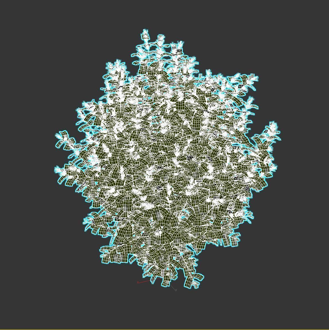 Caryopteris plant 3D model_8