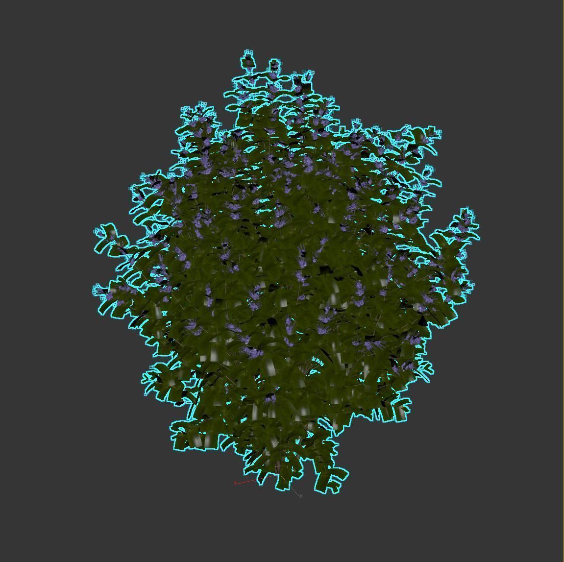 Caryopteris plant 3D model_7