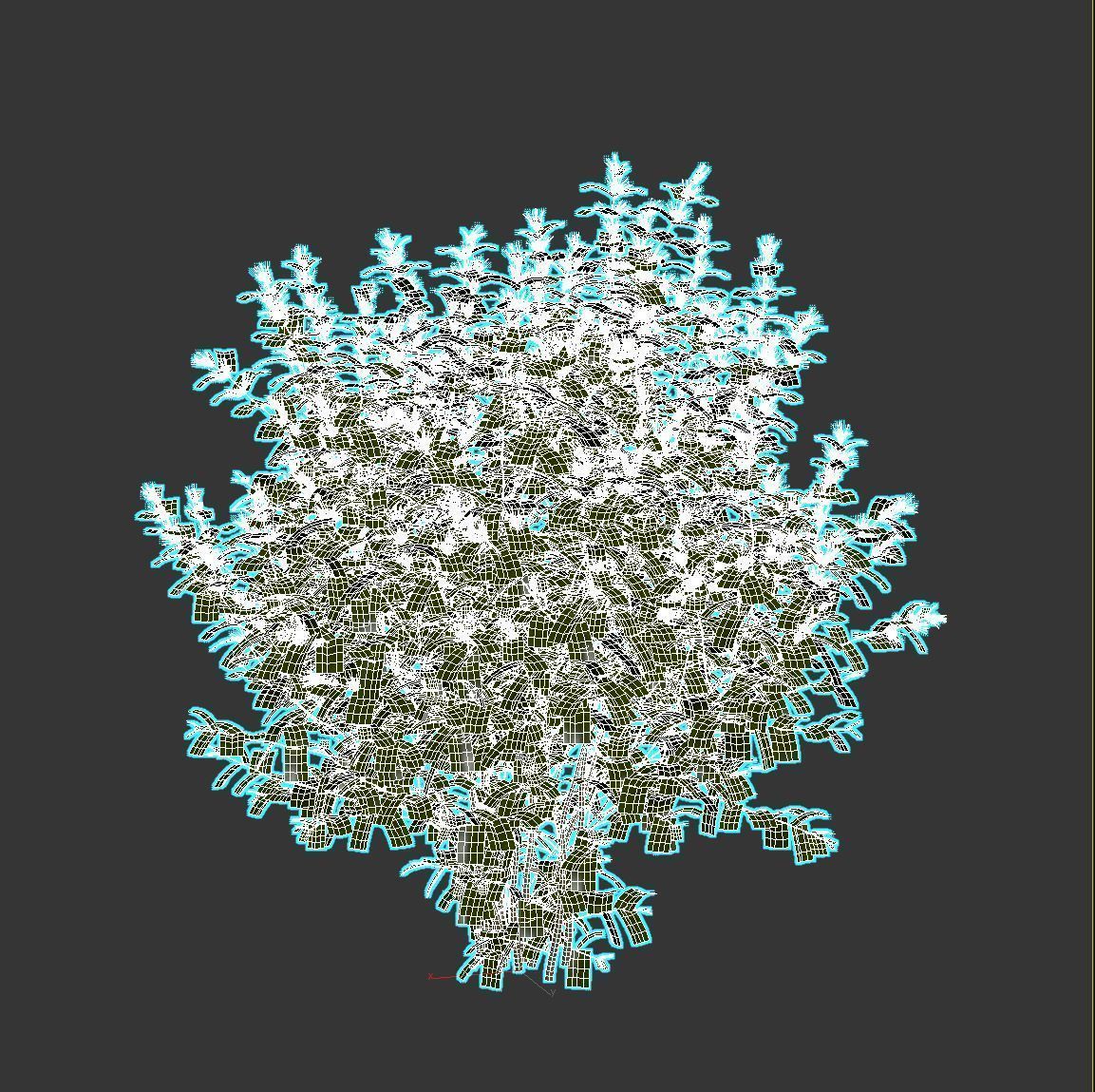 Caryopteris plant 3D model_10