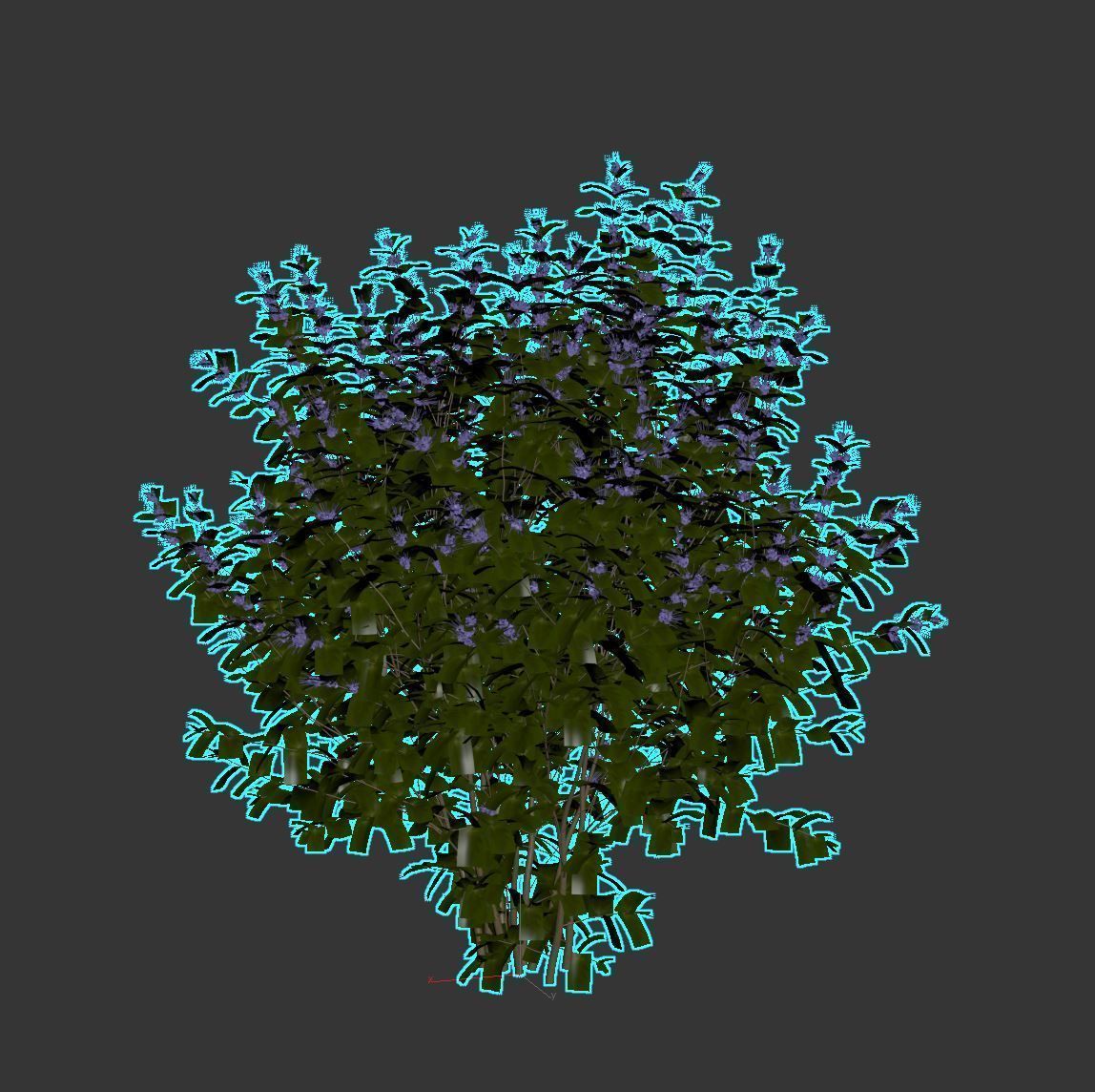 Caryopteris plant 3D model_9