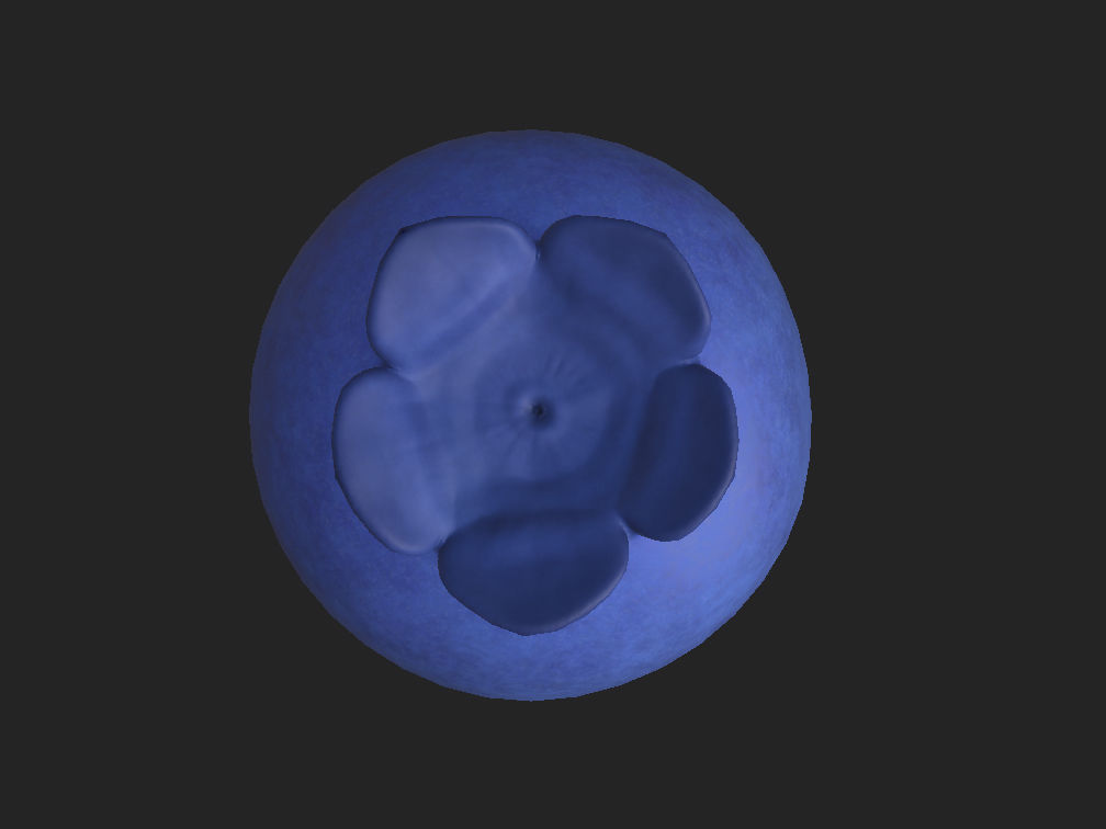 Blueberry pomegranate vase 3D model_8