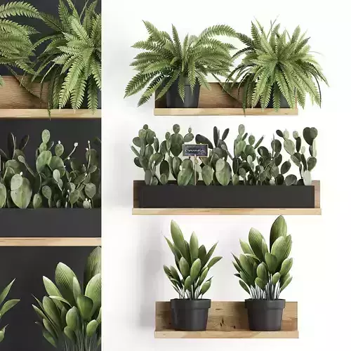 Plant set wall decor vertical garden 398 3D model