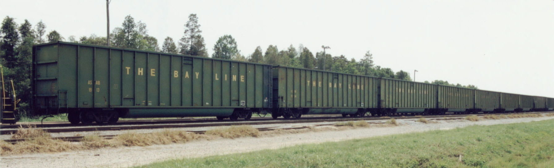 Wood Chip Gondola HO and N Scales Bay Line Bathtub 3D print model_2