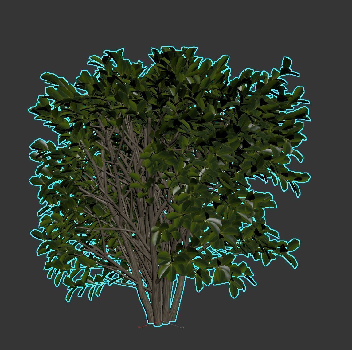 Cherry Laurel 3D model_9
