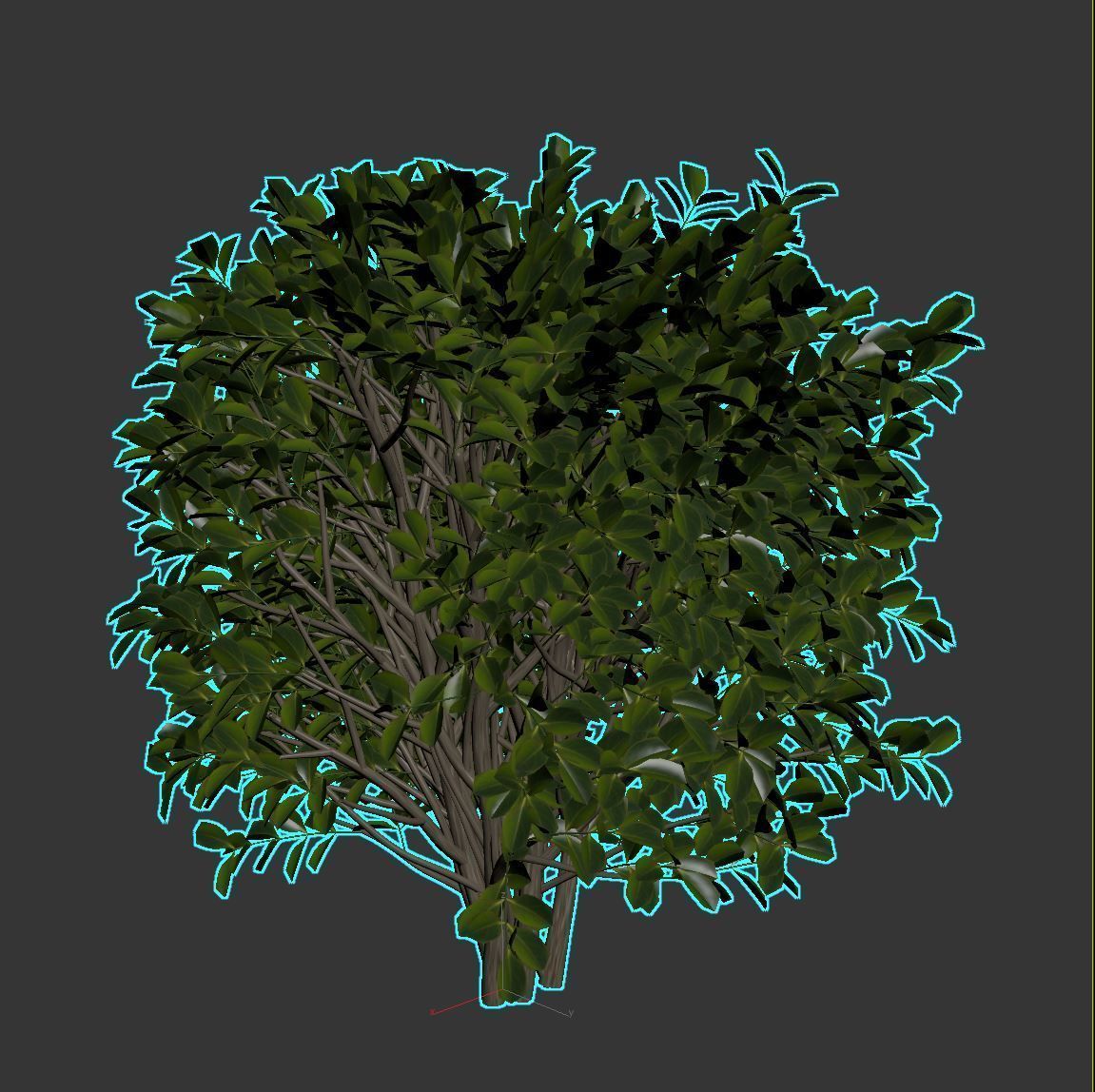 Cherry Laurel 3D model_7