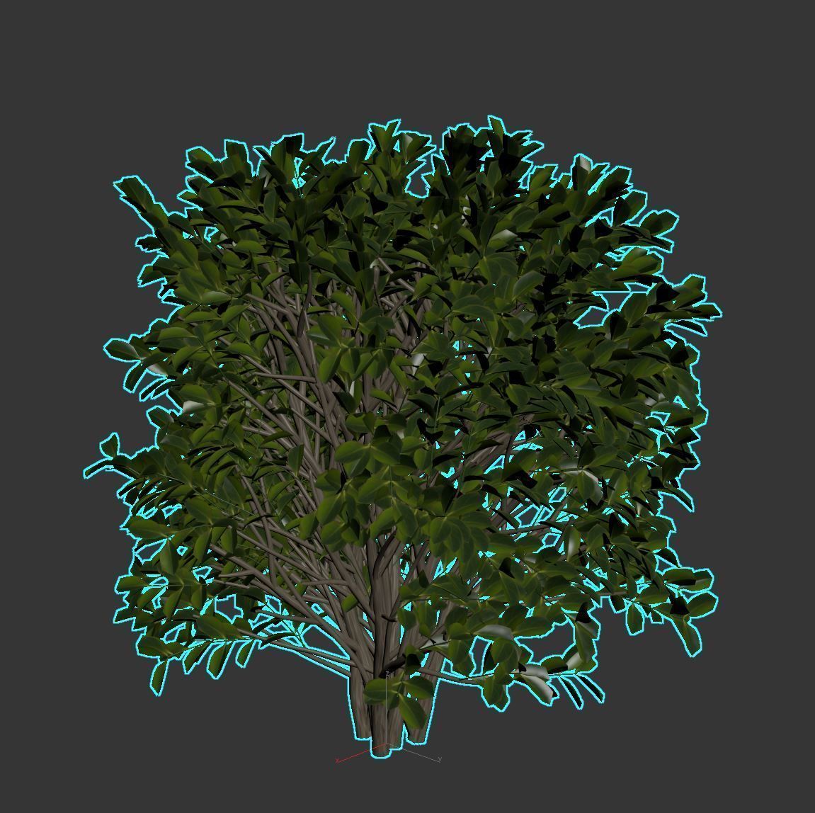 Cherry Laurel 3D model_13