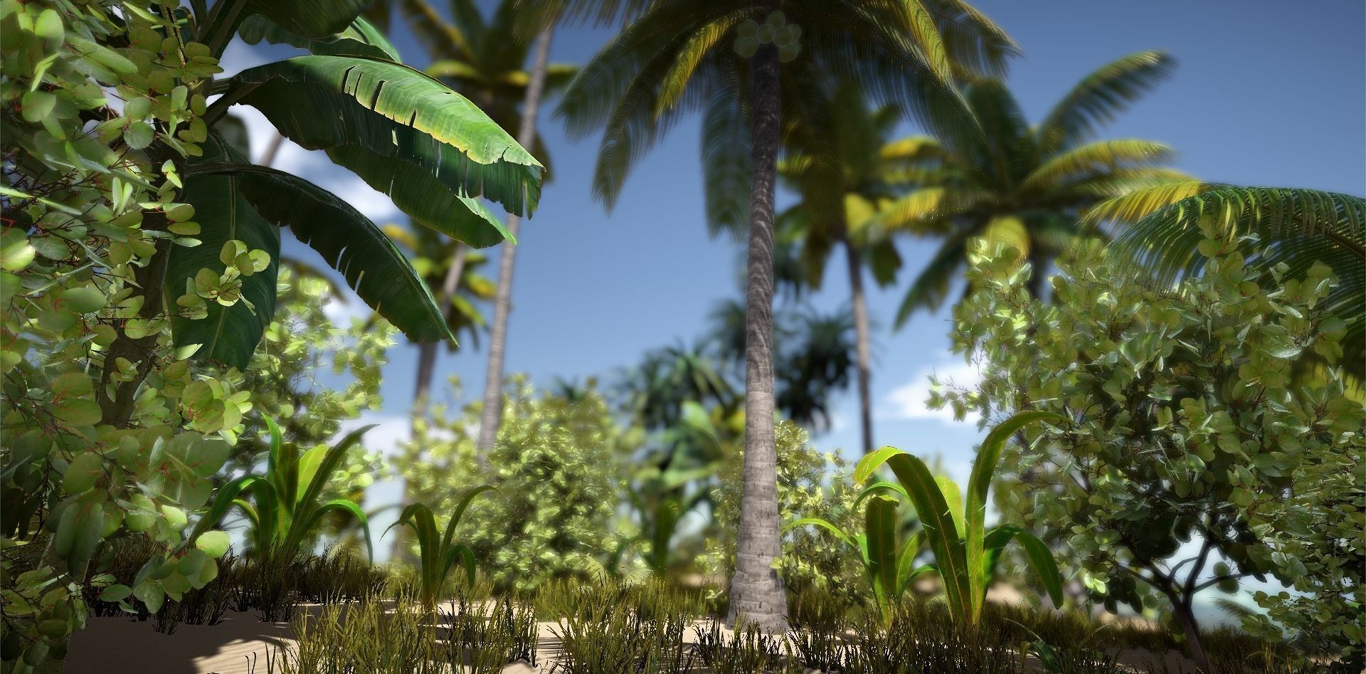  Tropical Plants For Game Engines UE4 asset and Unity3d asset ST Low-poly 3D model_6