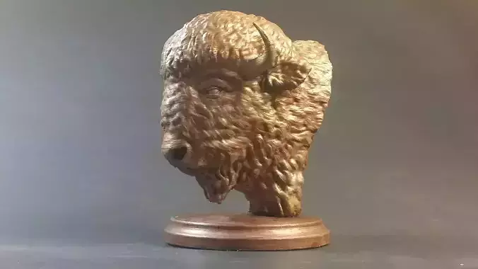 Buffalo Bust