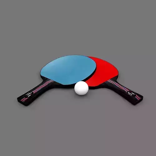 3D Racket Model two ping pong paddles and ball Low-poly 3D model