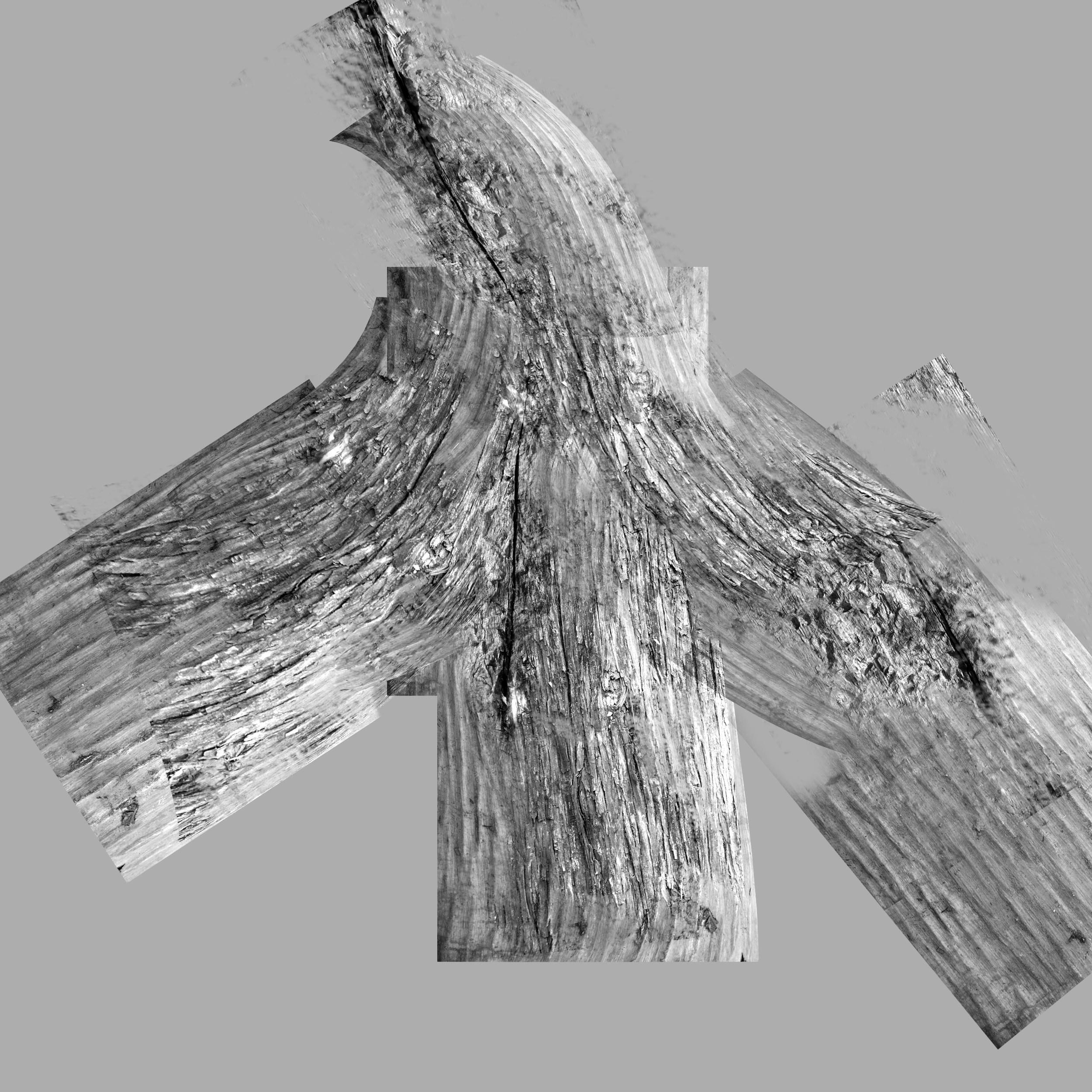 Bonsai tree 3D model_4