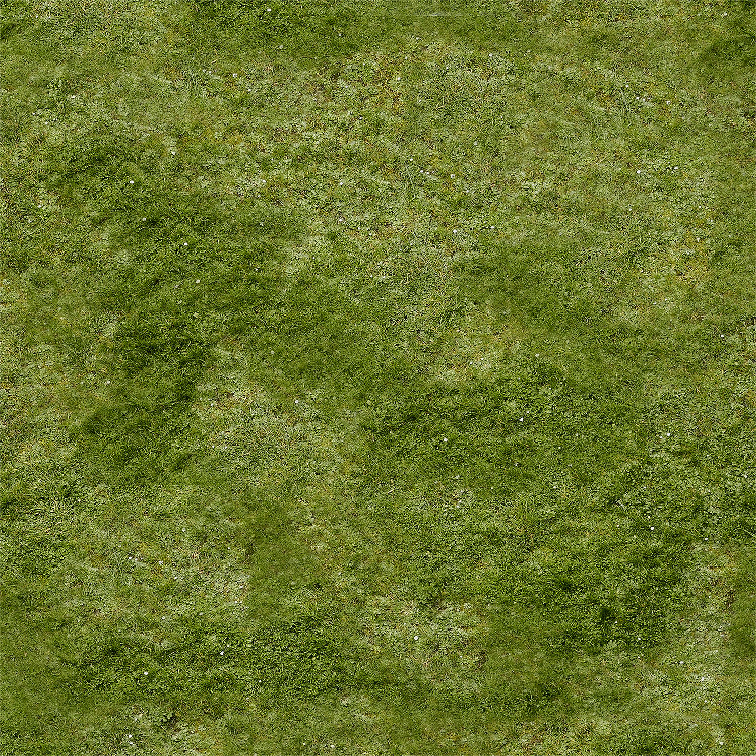 Bonsai tree 3D model_5