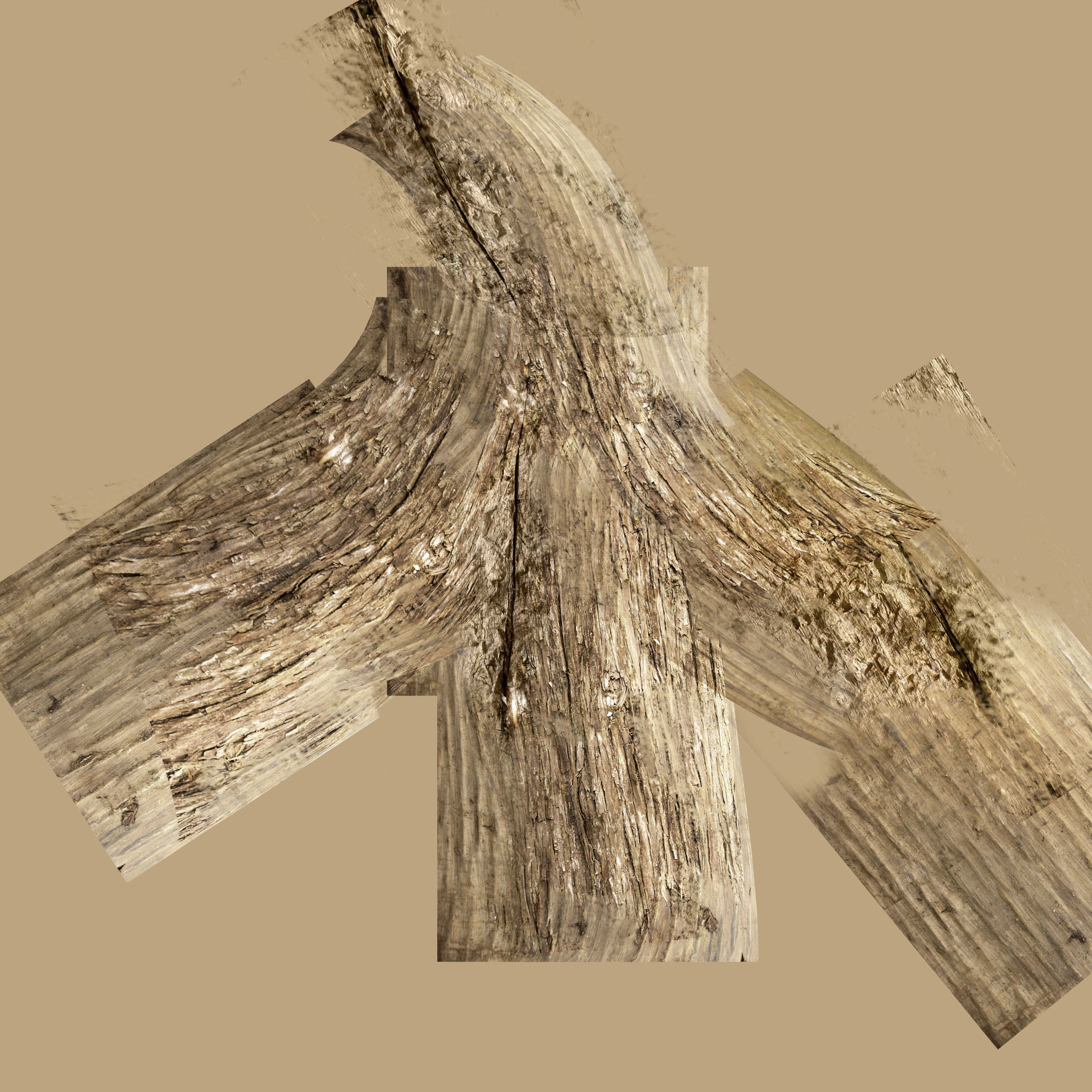 Bonsai tree 3D model_2