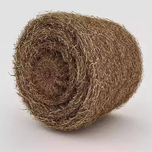 Straw Round Model