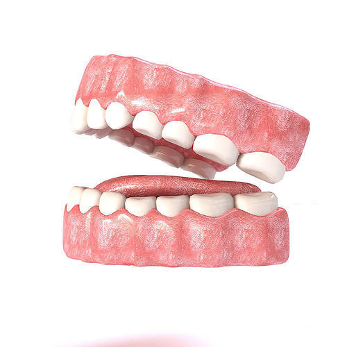 Realistic Mouth teeth Low-poly 3D model
