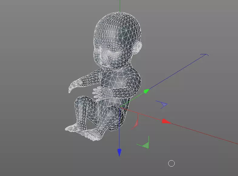 baby  Unborn   young 3D model_0