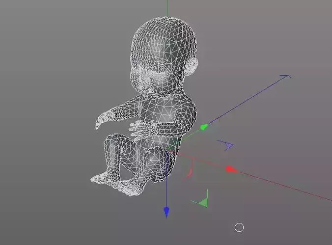 baby  Unborn   young