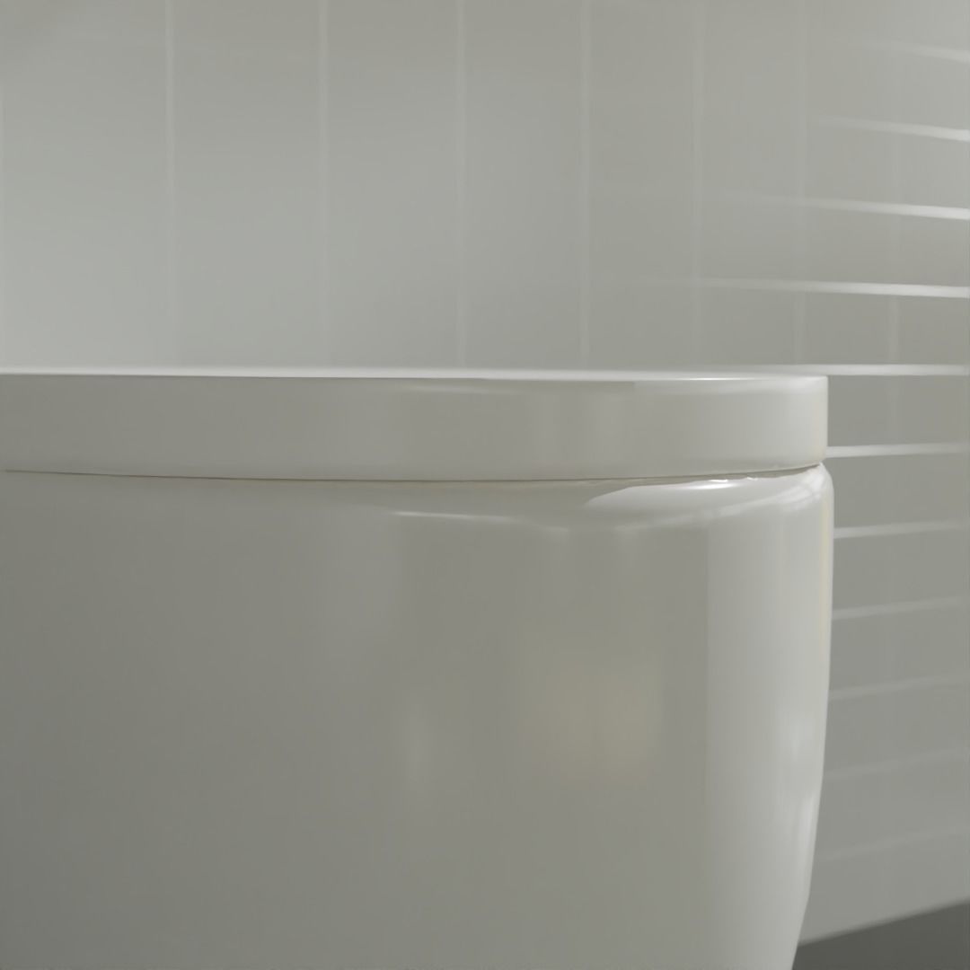 Modern water closet Free 3D model_2