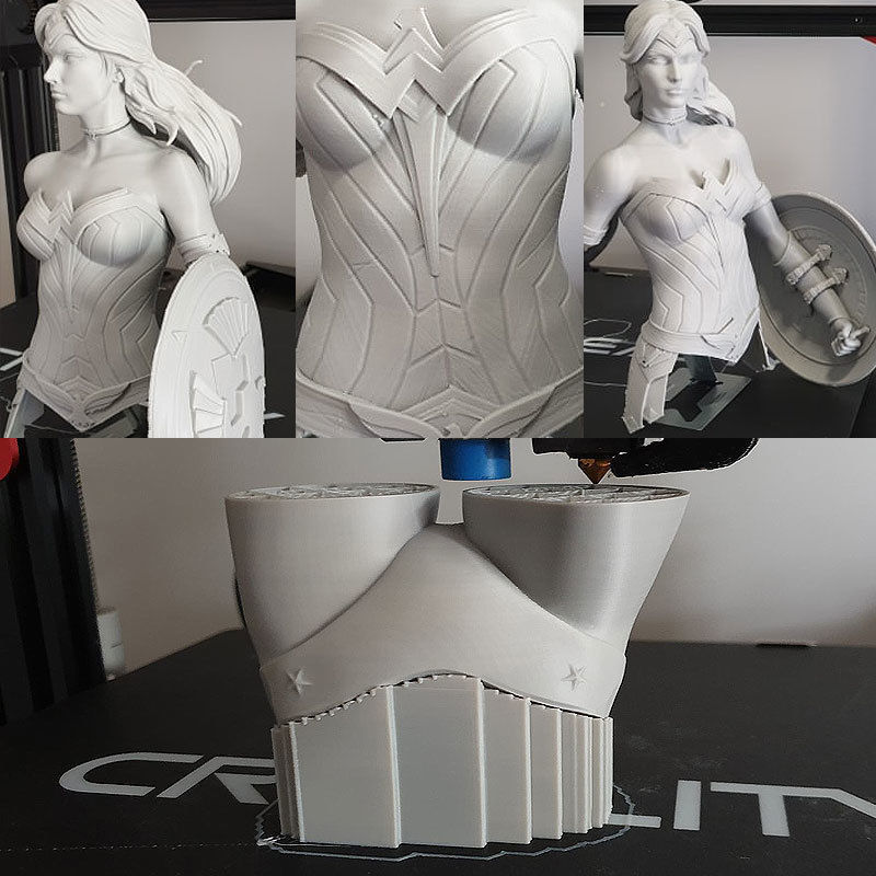 Warrior Wonder Woman 3D print model_23