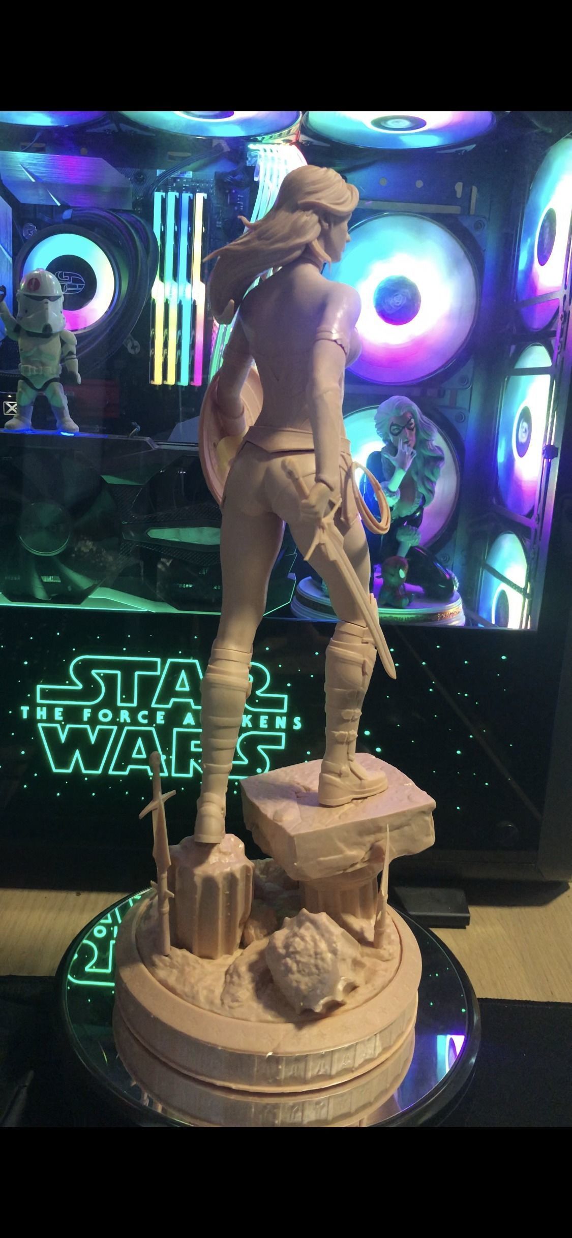 Warrior Wonder Woman 3D print model_28