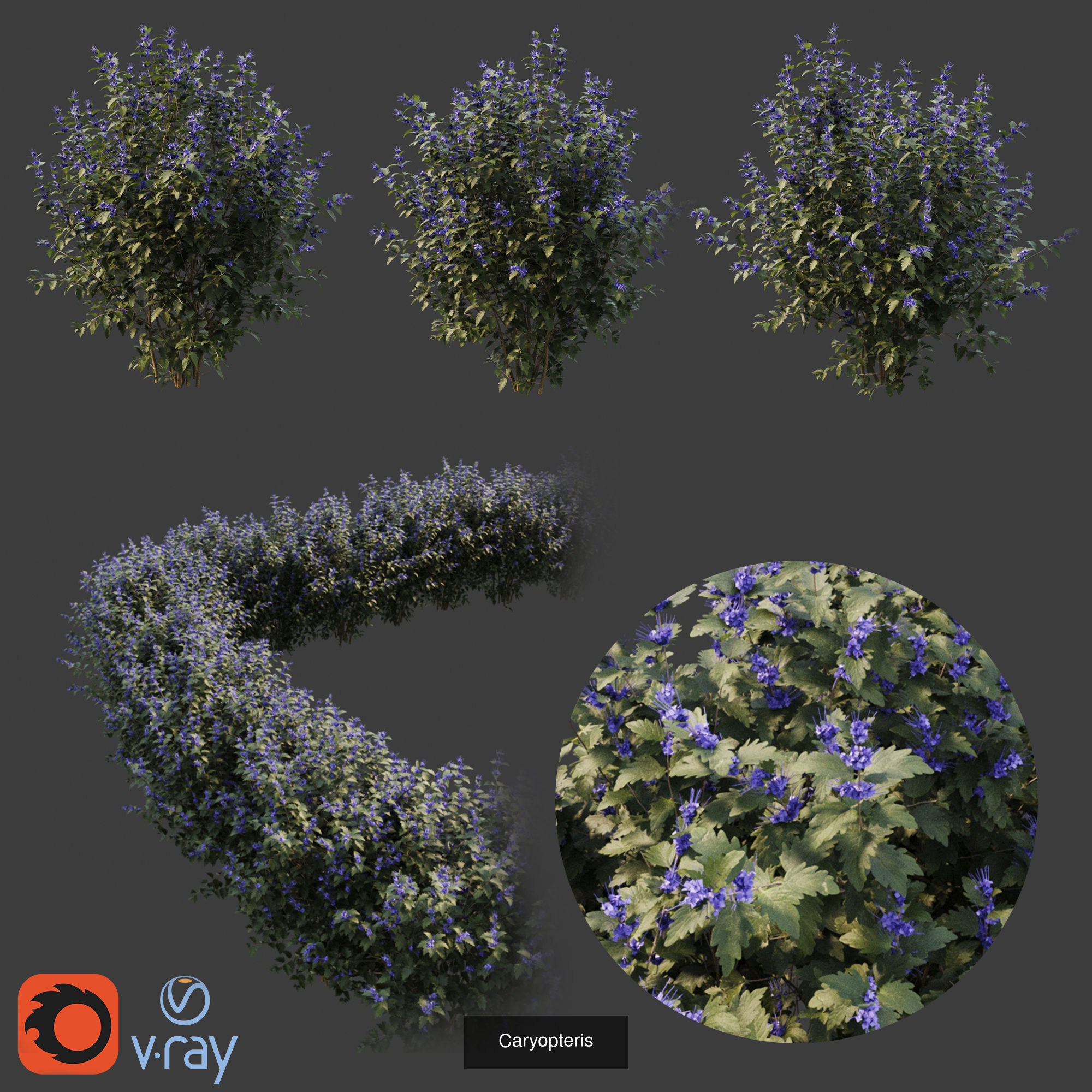 Hedge shrubs vol 1 3D Model Collection_3