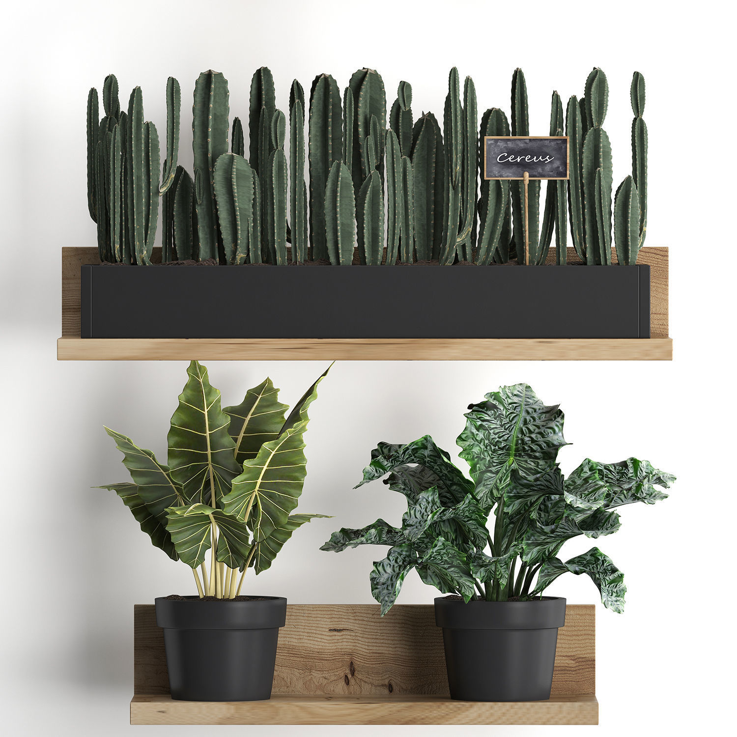 Plant set wall decor vertical garden 399 3D model_5