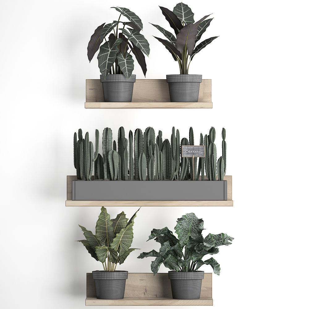 Plant set wall decor vertical garden 399 3D model_7