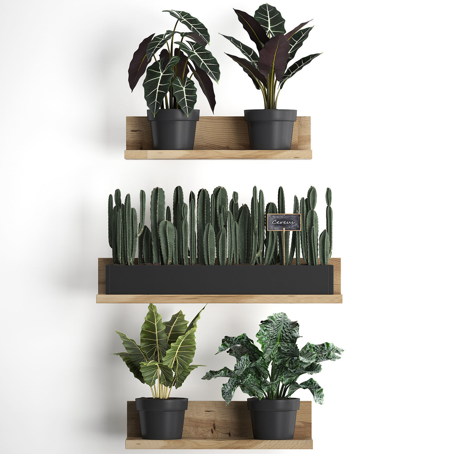 Plant set wall decor vertical garden 399 3D model_1