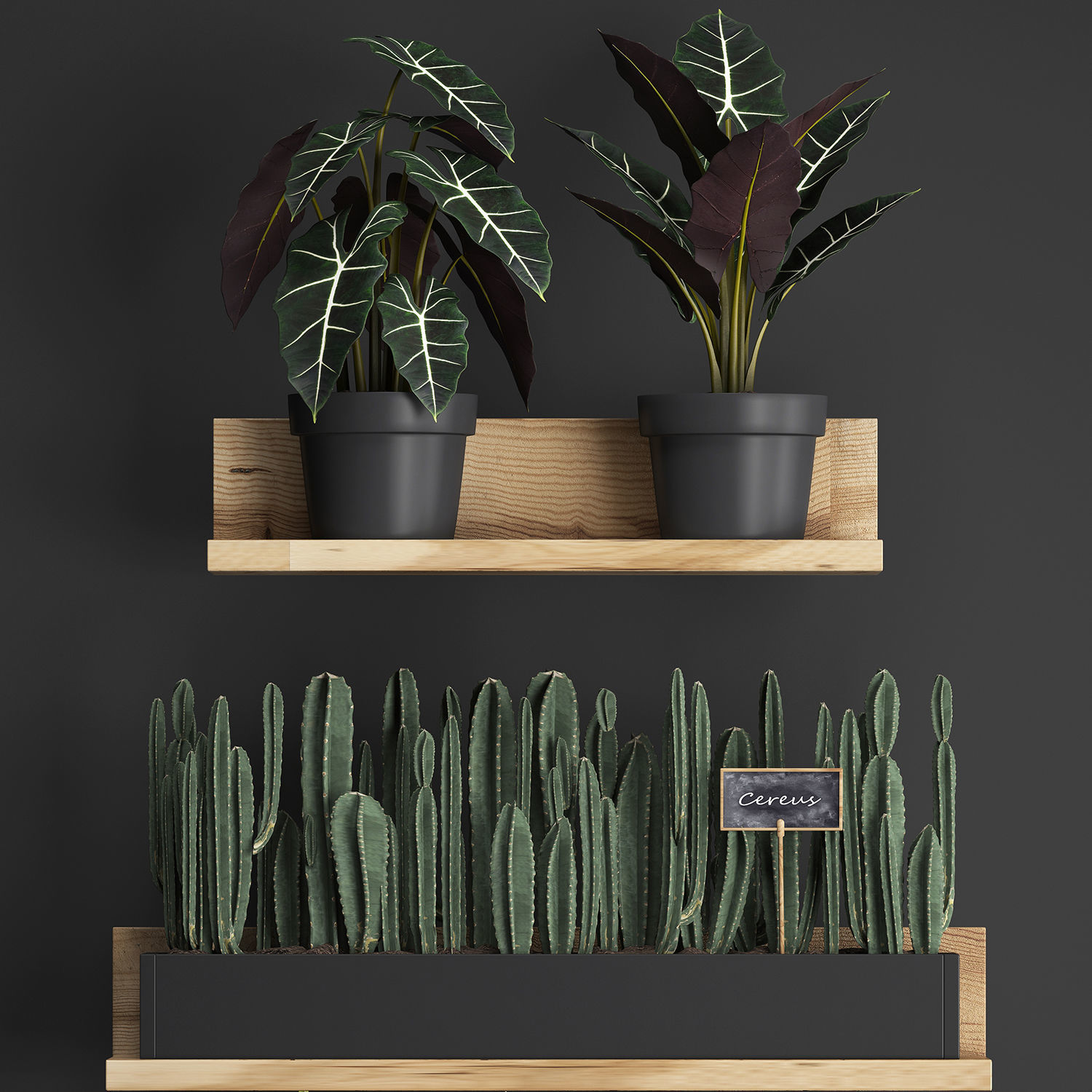 Plant set wall decor vertical garden 399 3D model_3