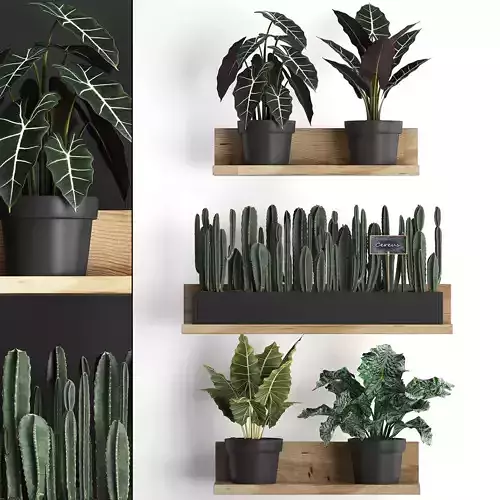 Plant set wall decor vertical garden 399 3D model